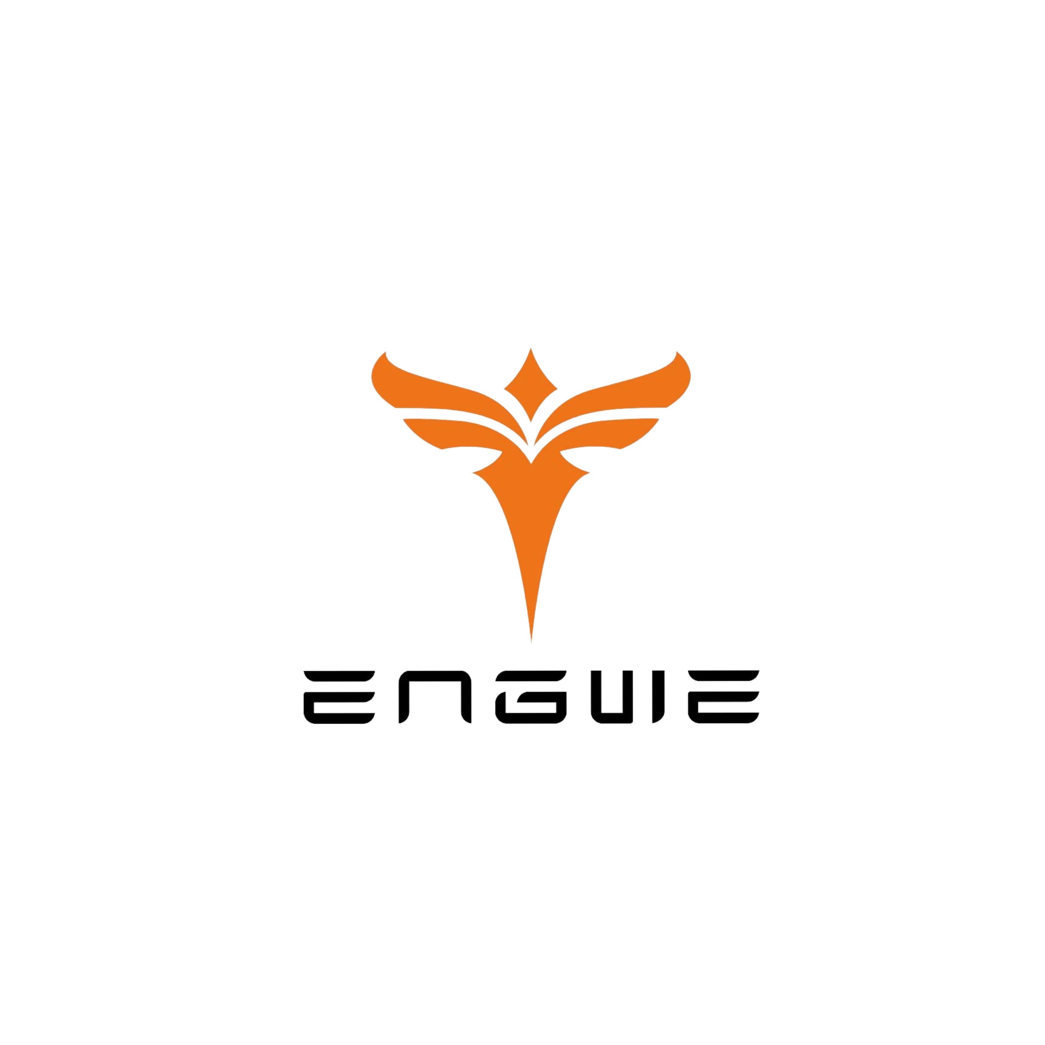 Engwe