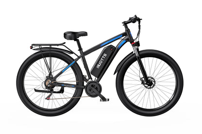 DUOTTS C29 Electric Hybrid Bike